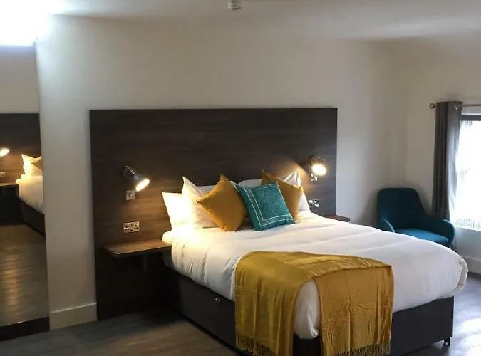 Base 2* ディングル