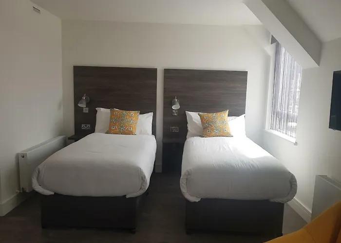 Base 2* ディングル